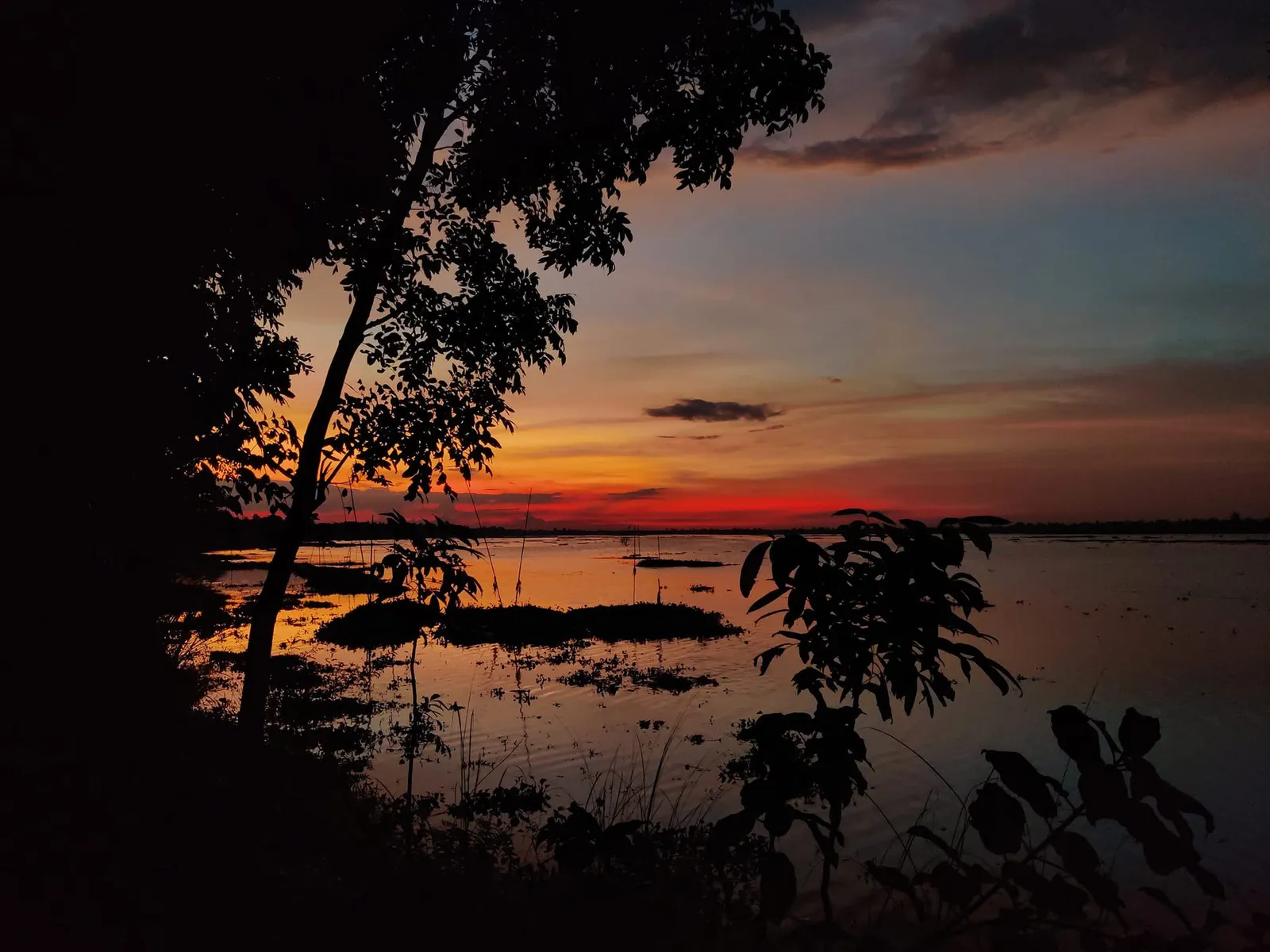 Evening: The sky catches fire behind the trees, and the water keeps a copy.