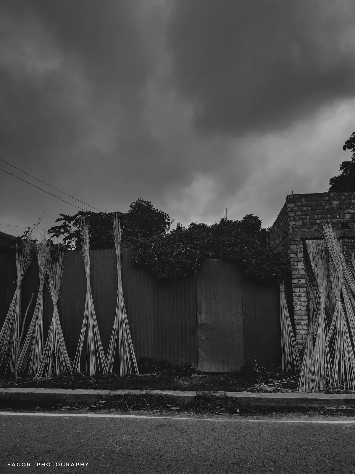 Monsoon: A bamboo fence under heavy clouds.