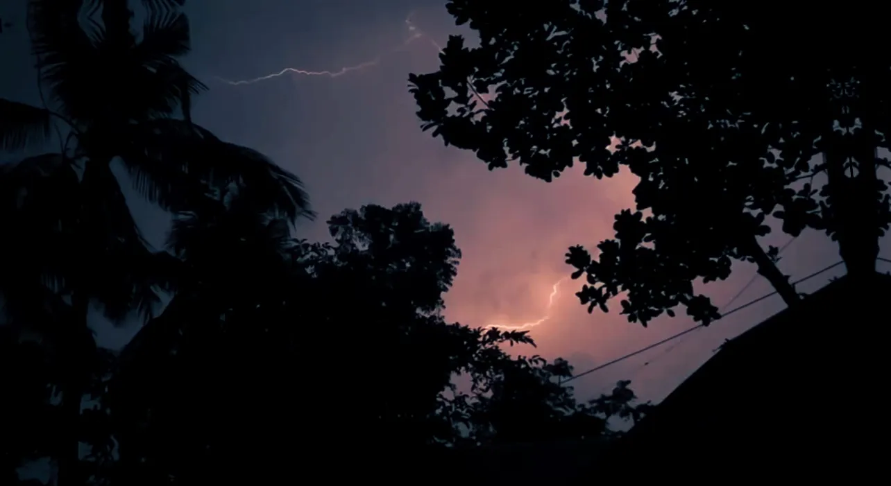 Twilight: The last pink in the sky before the trees go black.